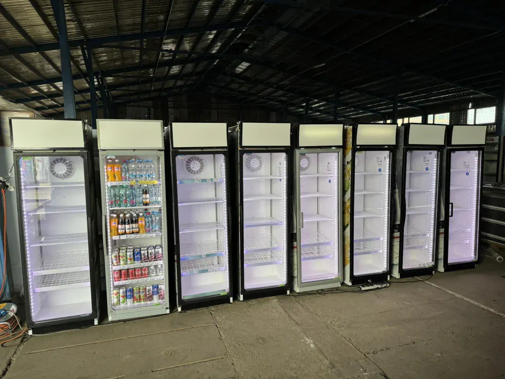 Prosklená chladicí lednice