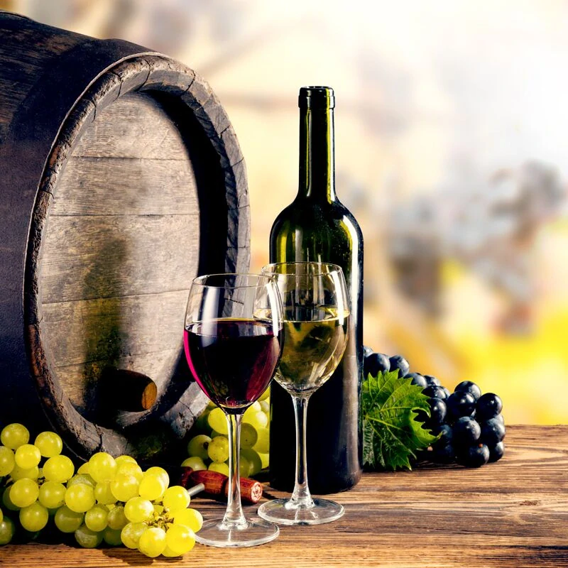 Vinotéka / Chladnička na víno - 1 klimatická zóna - 800 l - max. 144 lahví
