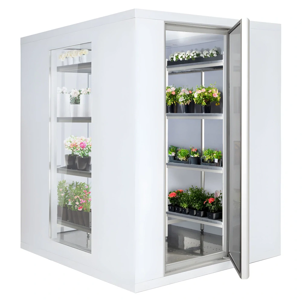Chladicí box - 1500x1200 mm - 2,6 m³ - se 2 skleněnými stranami